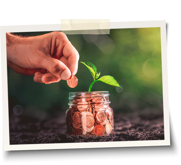 bonos y promociones psicologia